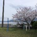 横浦島(回転90)
